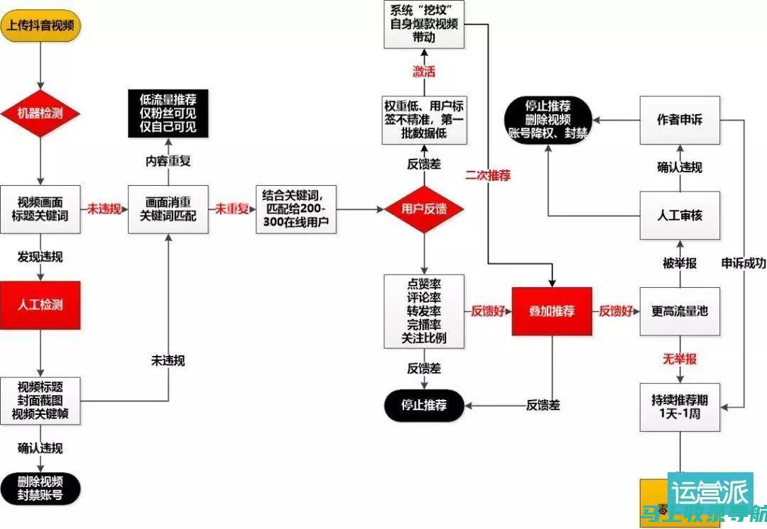 揭秘抖音优化公司排名背后的秘密